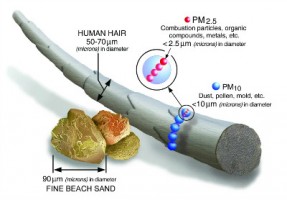【轉載】 查了多篇科學文獻，給你一份PM2.5知識圖譜